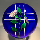 Charles Kaziun Jr. Art Glass Paperweight Lampwork Morning Glories on Trellis