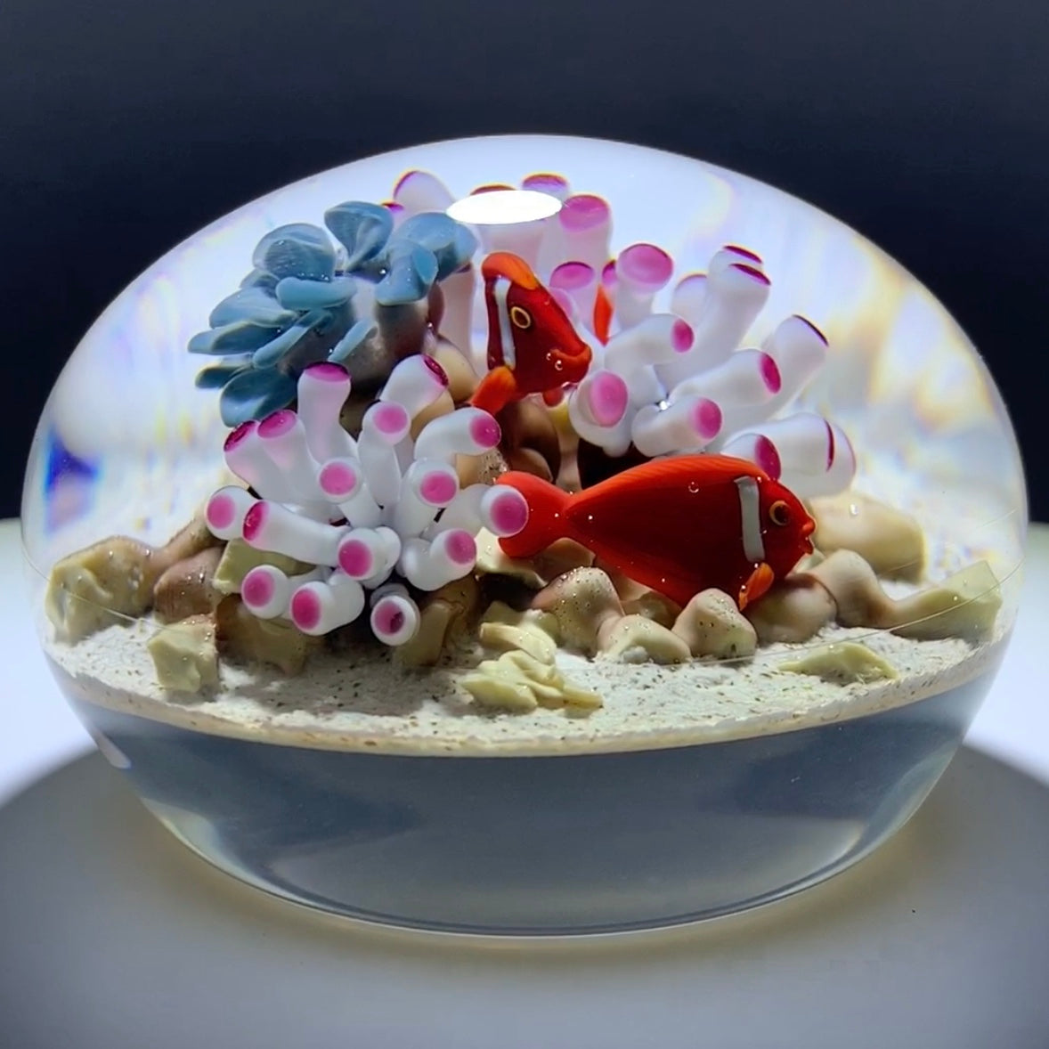 Gordon Smith 1995 Clown Fish With Coral and Sea Anemone Sandy Ocean Floor