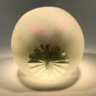 Limited Edition Perthshire Art Glass Paperweight Lampwork Scottish Thistle 1998C