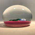 Charles Kaziun Jr. Art Glass Paperweight Lampwork Morning Glories on Pink Ground