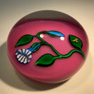Charles Kaziun Jr. Art Glass Paperweight Lampwork Morning Glories on Pink Ground