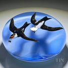 Rick Ayotte 1983 Flamework White Throated Swallows Chasing a Fly With Blue Sky