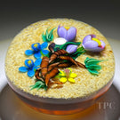 Signed Ken Rosenfeld 1992 Glass Art Paperweight Flamework Java Ginseng Bouquet on Sand Ground