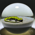 Signed Harold Hacker Glass Art Paperweight Flamework Mottled Yellow Lizard