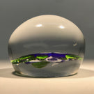 Miniature Baccarat Art Glass paperweight Lampwork Blue & White Primrose