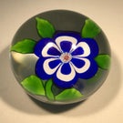 Miniature Baccarat Art Glass paperweight Lampwork Blue & White Primrose