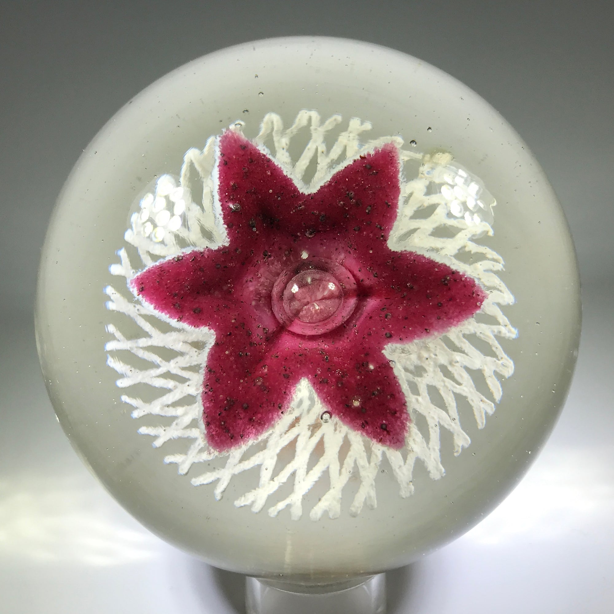 Rare Ed Rithner Art Glass Paperweight Maroon Flower on Frit Doily