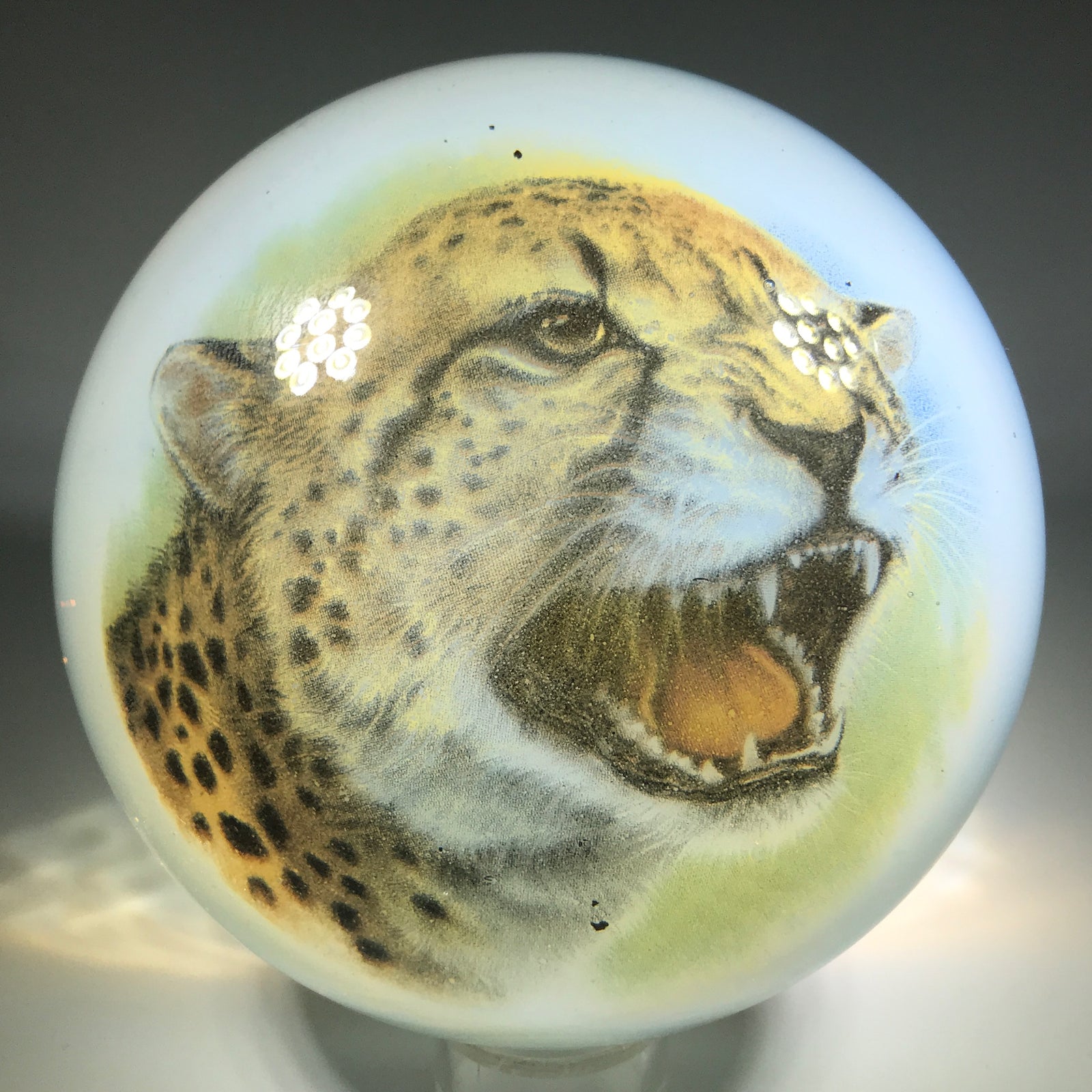 Huge Vintage Murano Art Glass Paperweight Detailed Encased Cheetah Image