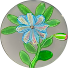 Extremely Rare Antique Clichy Lampwork Flower with Unusual Split Millefiori Cane Petals