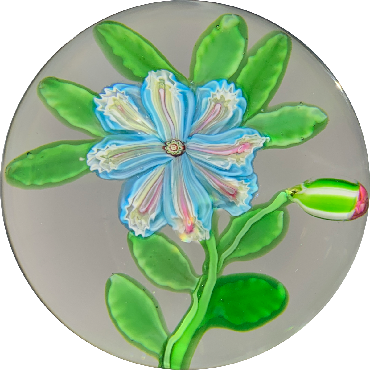 Extremely Rare Antique Clichy Lampwork Flower with Unusual Split Millefiori Cane Petals