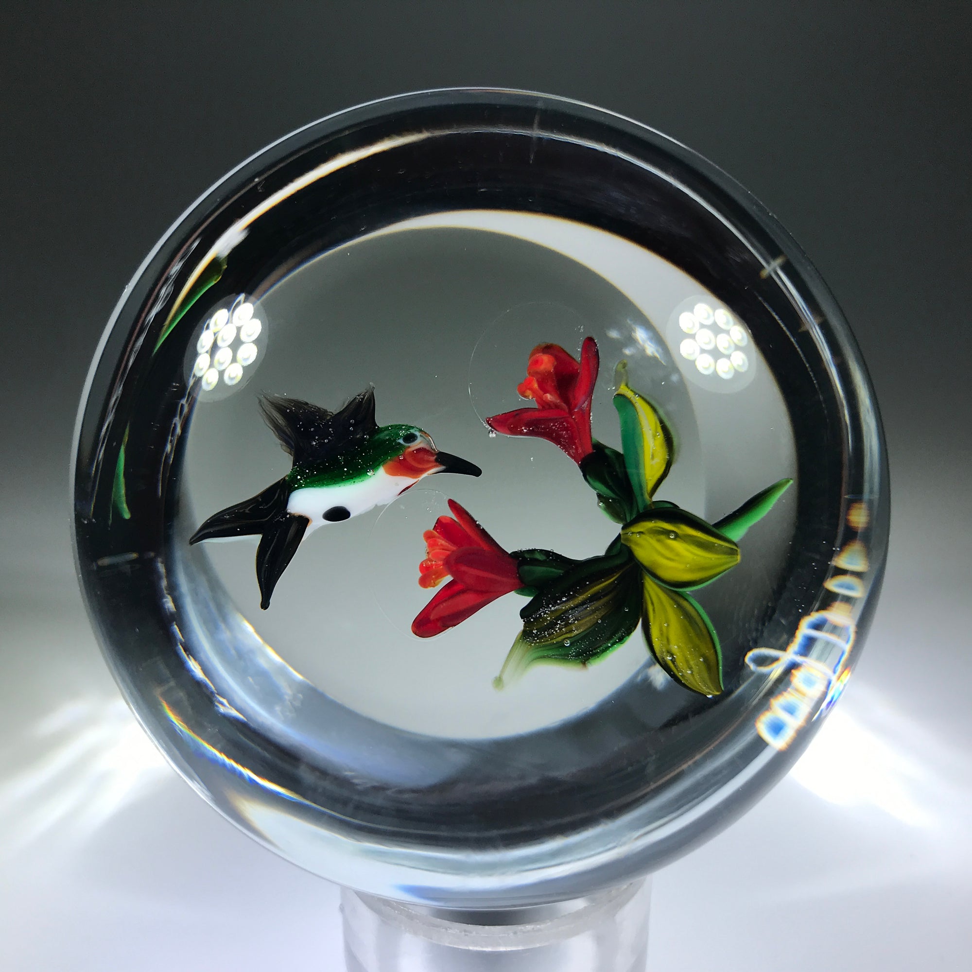 Signed Rick Ayotte Art Glass Paperweight Lampwork Hummingbird Feeding at Red Blossoms