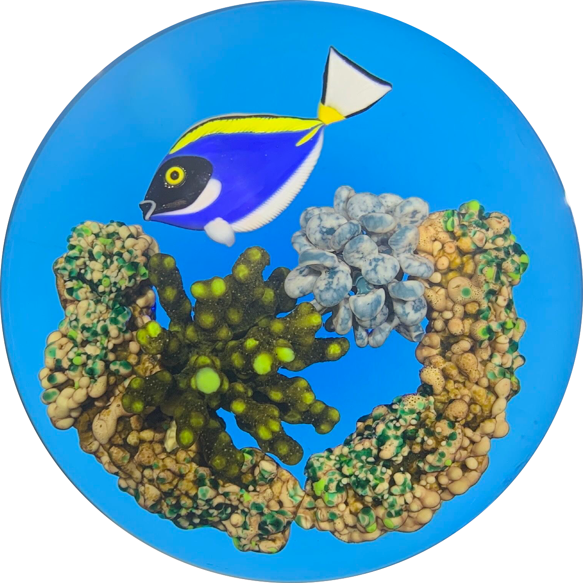 Gordon Smith 1994 Tropical Tang Fish with Textured Coral & Transparent Blue Ground