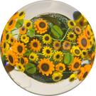 Shawn Messenger 2016 Sunflowers & Dichroic Core Millefiori Paperweight