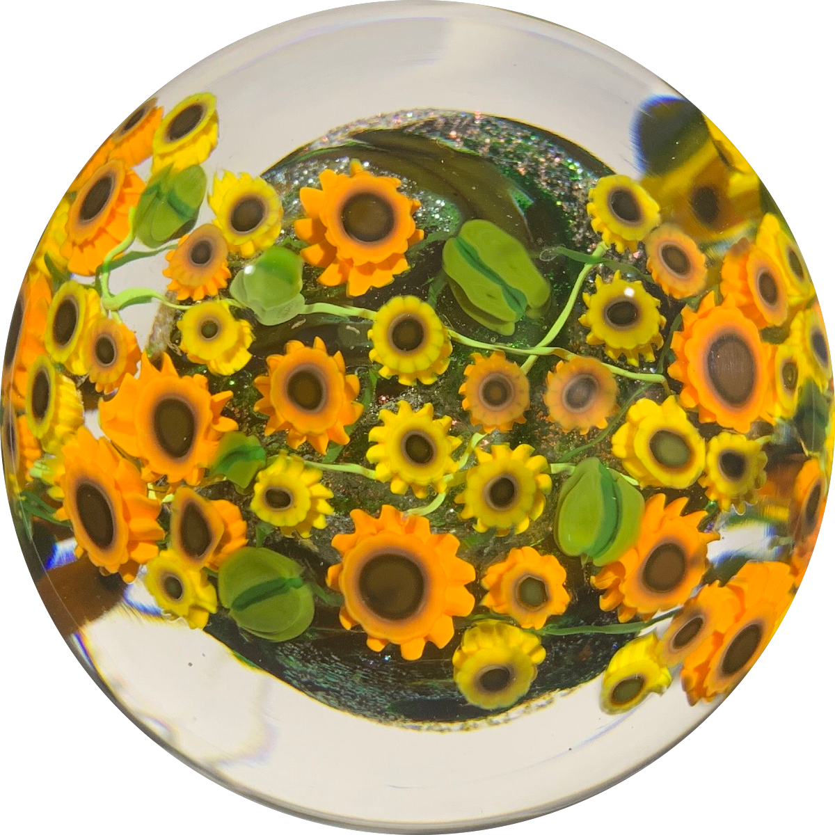 Shawn Messenger 2016 Sunflowers & Dichroic Core Millefiori Paperweight