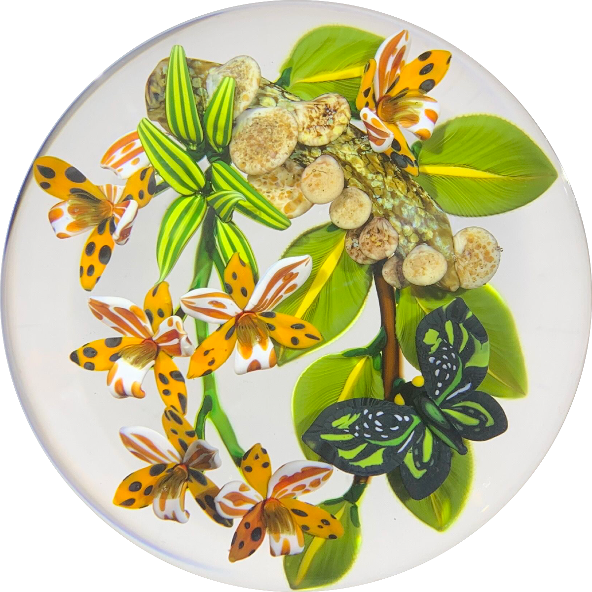 Colin Richardson Flamework Birdwing Butterfly and Tiger Orchid Glass Art Paperweight