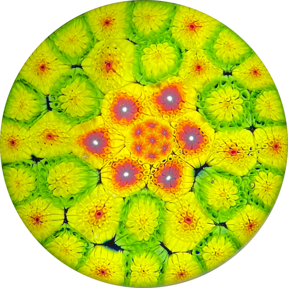 Matt Fimiano 2020 Vibrant Concentric Complex Millefiori on Blue Ground