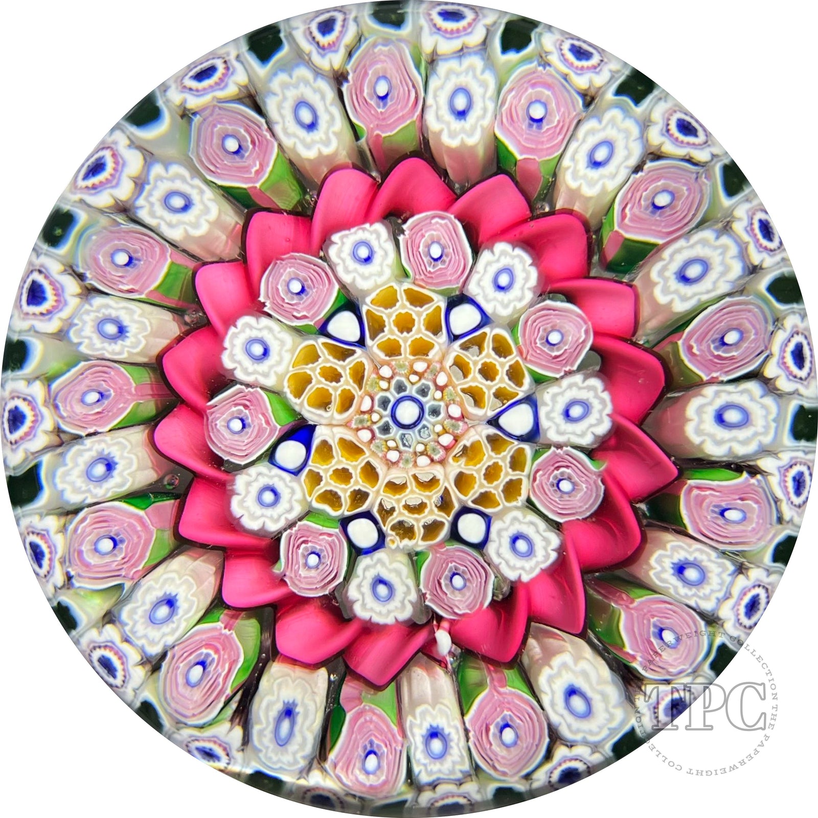 Magnum Damon MacNaught 2022 Glass Art Paperweight Complex Concentric Millefiori & Ribbon Twist Torsade