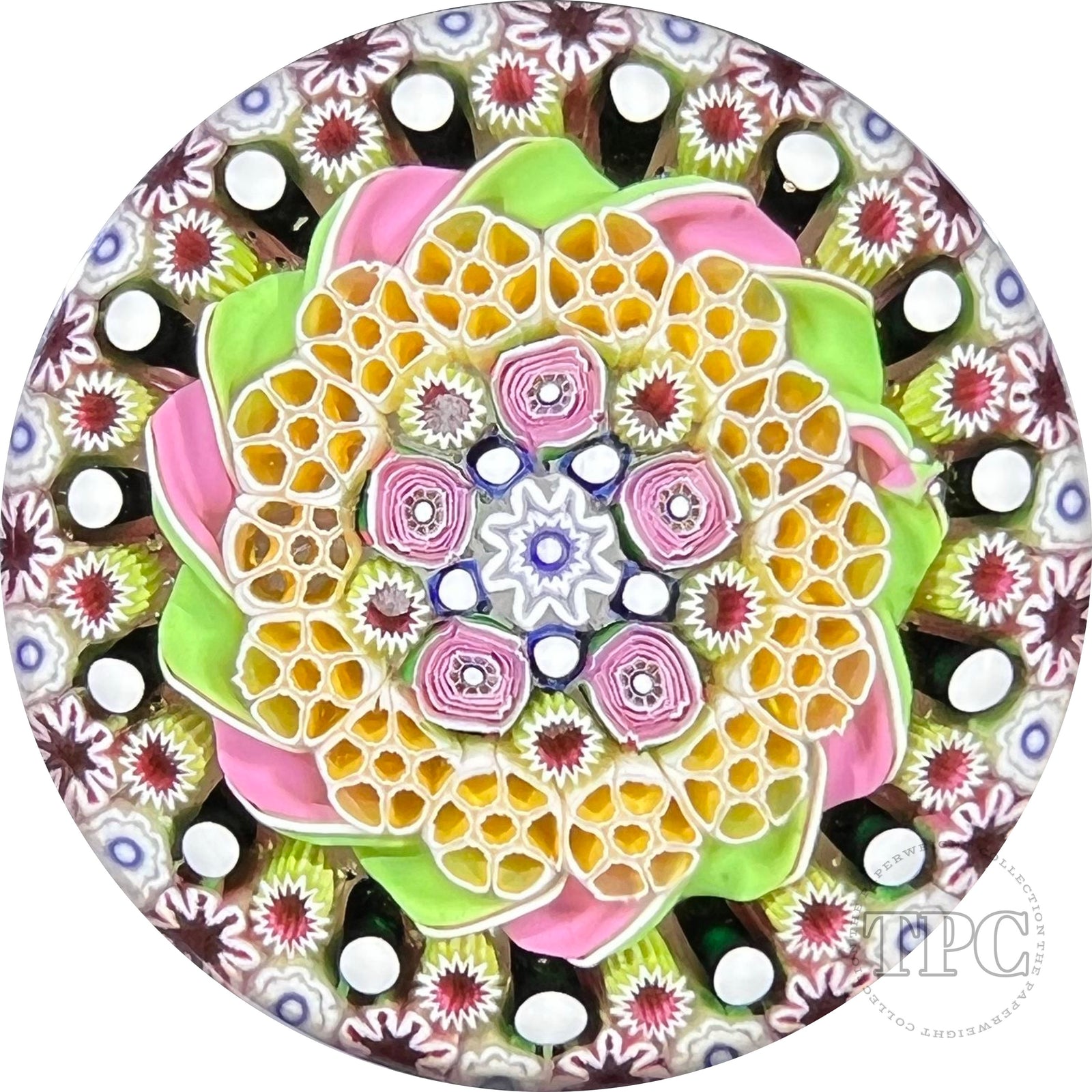 Damon MacNaught 2022 Glass Art Paperweight Complex Concentric Millefiori with Pink & Green Ribbon Torsade