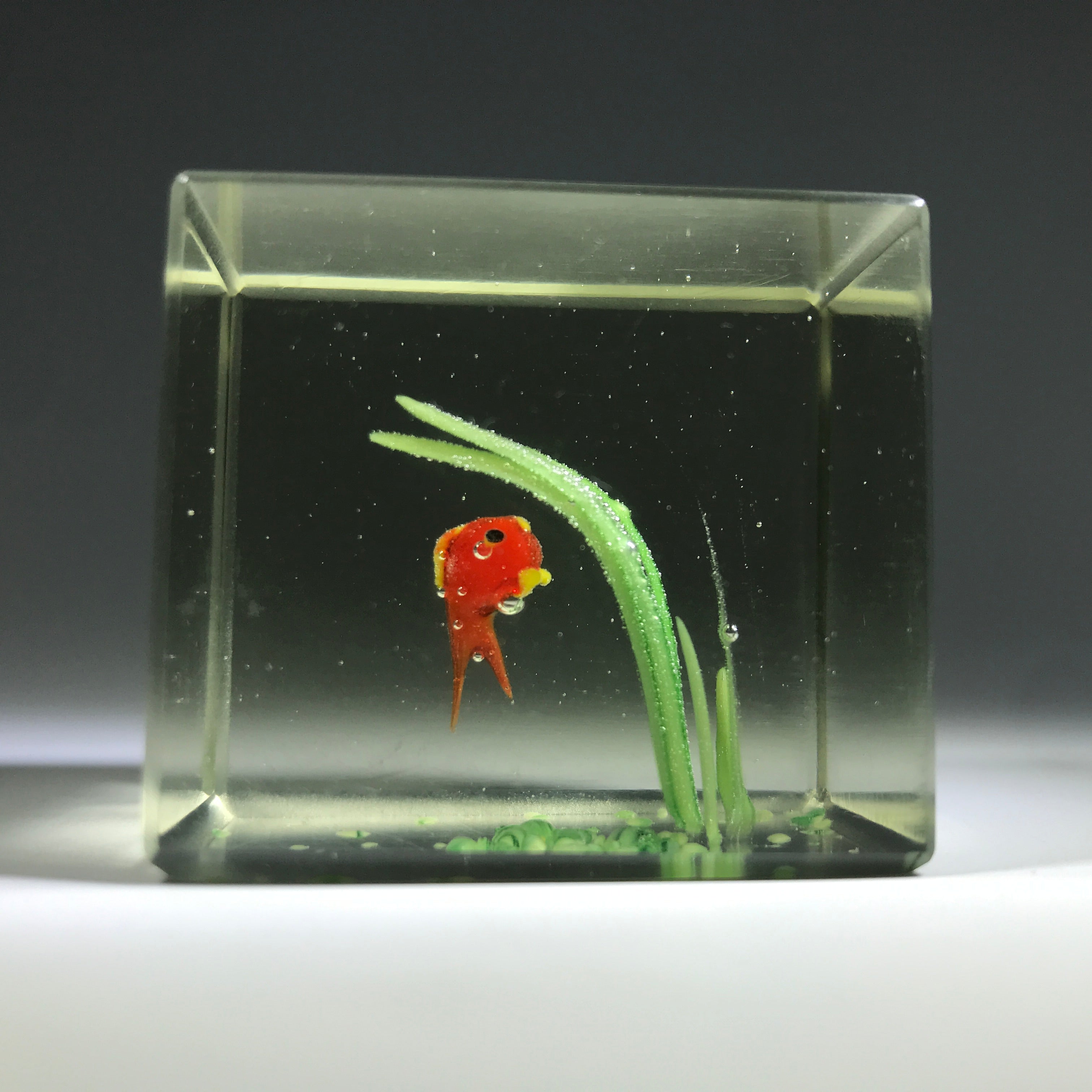 Early Chinese Art Glass Paperweight Faceted Fish Tank Aquarium