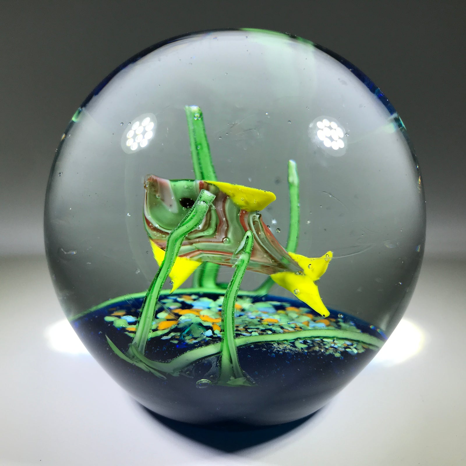 Contemporary Chinese Possibly Murano Art Glass Paperweight Lampwork Tropical fish