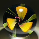 Caithness Glass Art Paperweight "Fugue" Yellow Tulip Style Crimp Flower