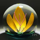 Caithness Glass Art Paperweight "Fugue" Yellow Tulip Style Crimp Flower