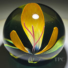 Caithness Glass Art Paperweight "Fugue" Yellow Tulip Style Crimp Flower