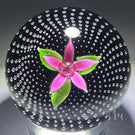 Caithness Glass Art Paperweight Upright Pink Flower in the Rain