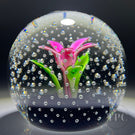 Caithness Glass Art Paperweight Upright Pink Flower in the Rain