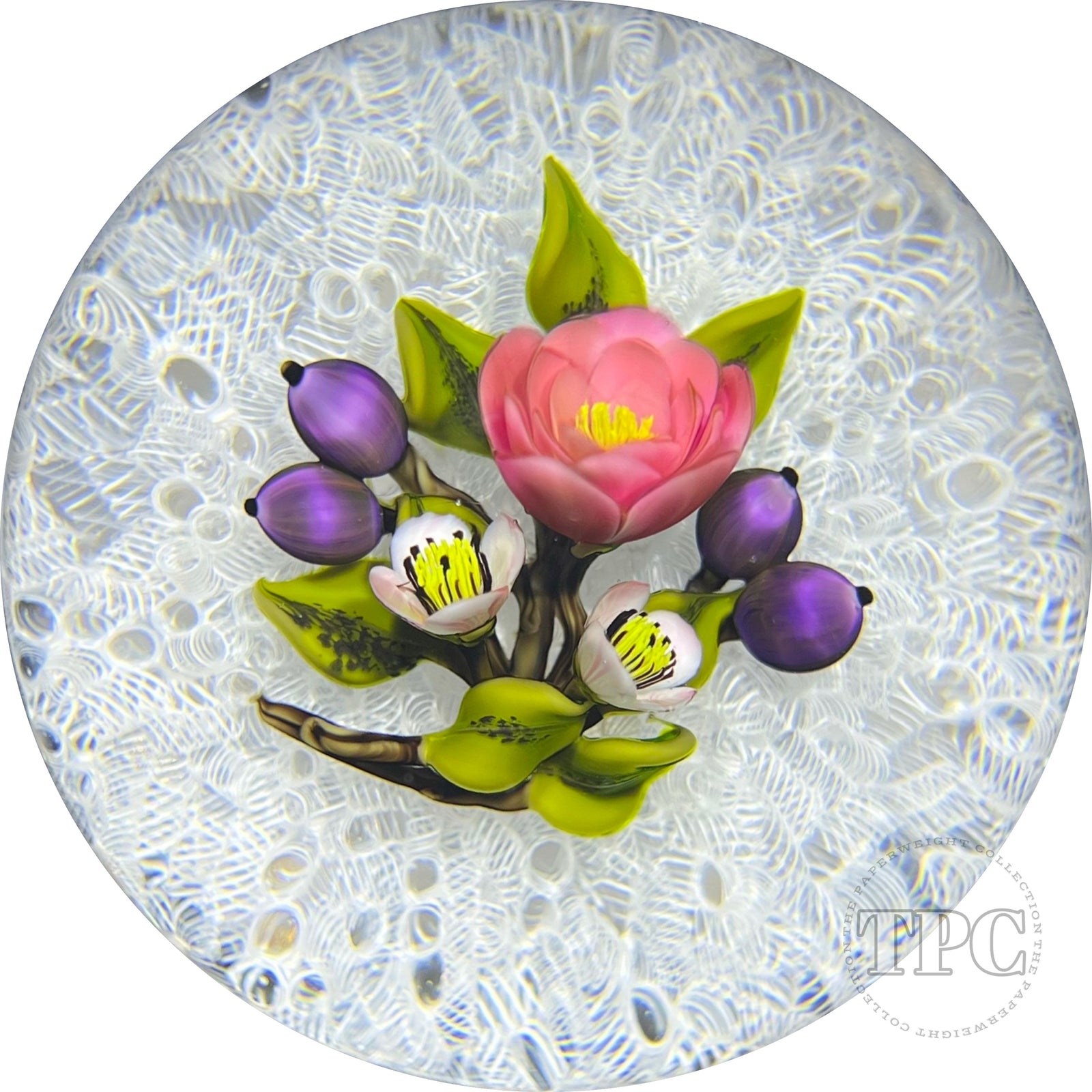 David & Jon Trabucco 1997 Glass Art Paperweight Flamework China Rose with Blueberries on Upset White Muslin Lace