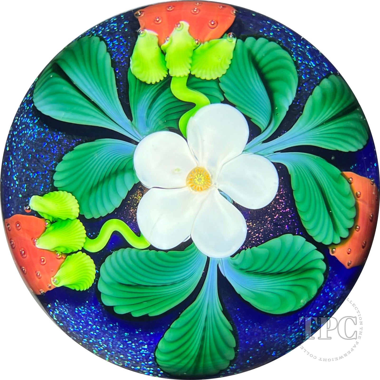 Orient & Flume 1984 LE Glass Art Paperweight Torchwork Floral Strawberries on Dichroic Blue Ground