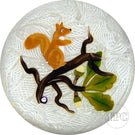 John Deacons Glass Art Paperweight Flamework Brown Squirrel Gathering Acorns on Upset White Muslin Lace