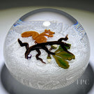 John Deacons Glass Art Paperweight Flamework Brown Squirrel Gathering Acorns on Upset White Muslin Lace