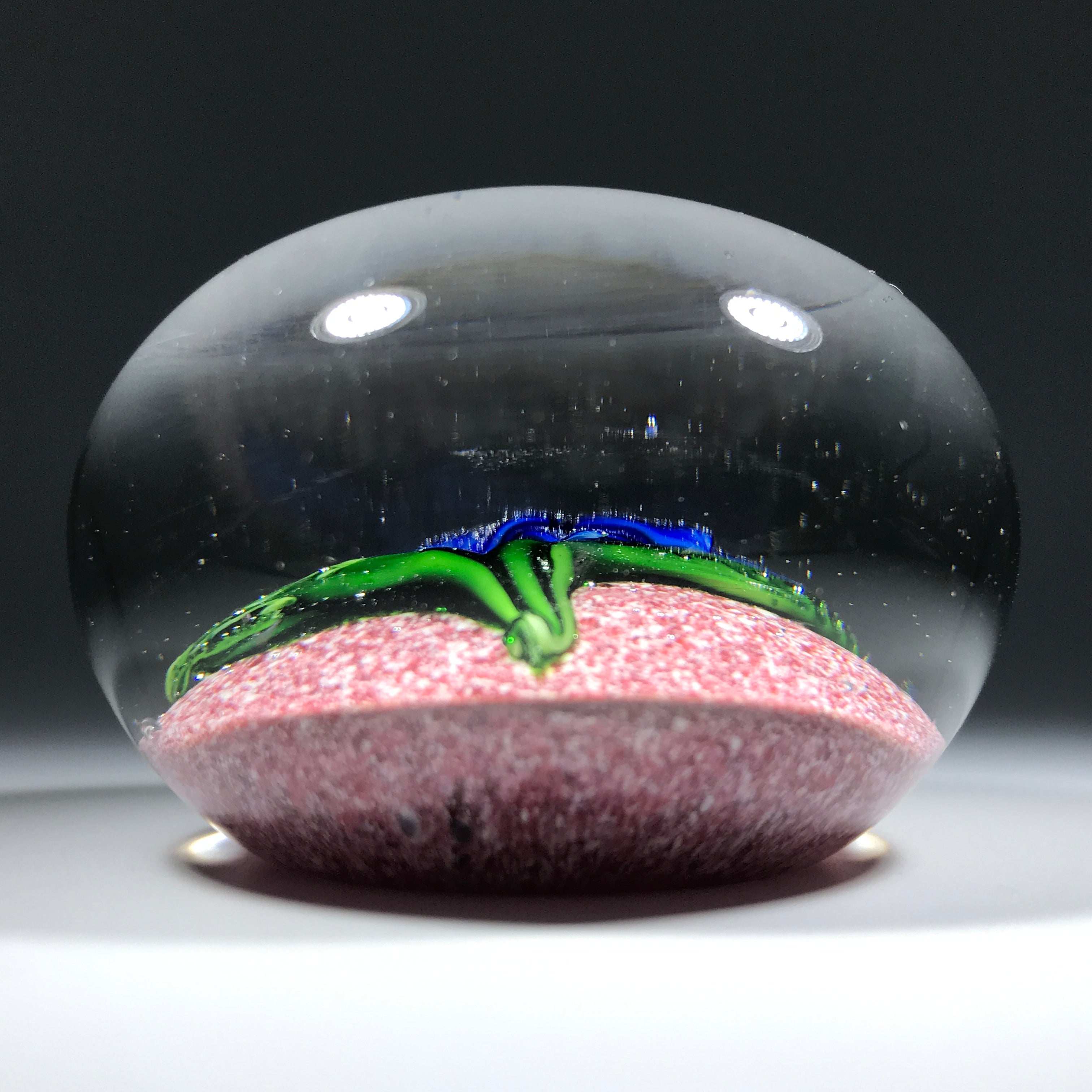 Rare Antique Saint Louis Art Glass Paperweight Lampwork Clematis on Re