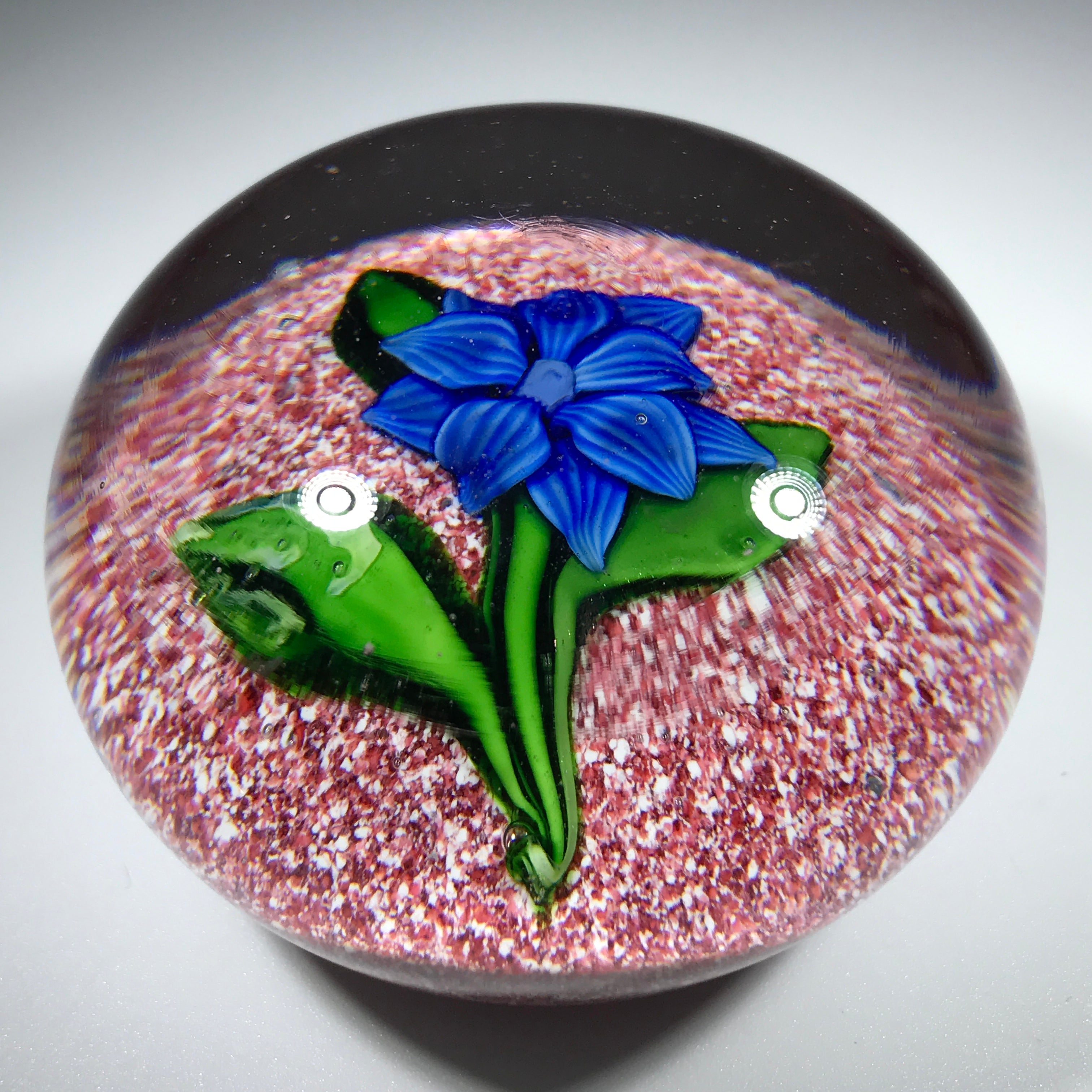 Rare Antique Saint Louis Art Glass Paperweight Lampwork Clematis on Re