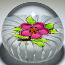 Uncommon Alan Scott for J Glass(Deacons) 1981 Flamework Pink Buttercup Flower over Filigree Crown Cushion