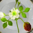 Paul Stankard 1979 Faceted Glass Art Paperweight Flamework Strawberry with Blossom
