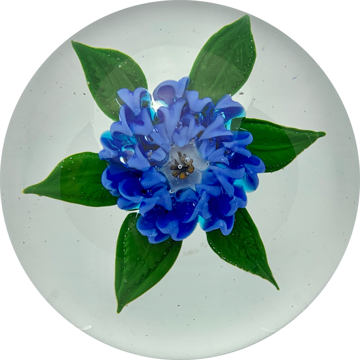 Signed Harold Hacker Lampwork Blue Dahlia on Clear Ground