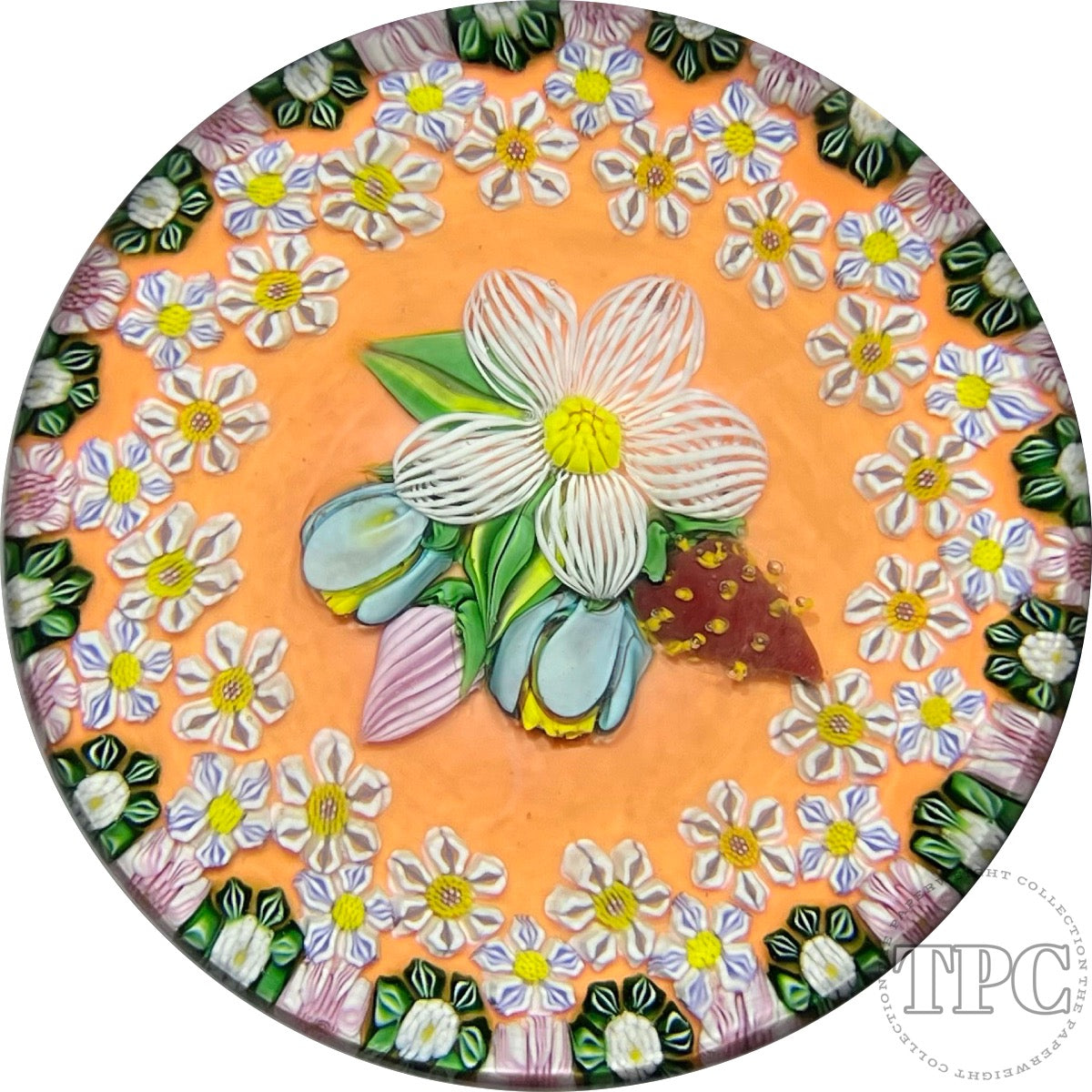 Drew Ebelhare & Sue Fox 2019 Glass Art Paperweight Flamework Strawberry Nosegay and Millefiori Garland on Peach Colored Ground