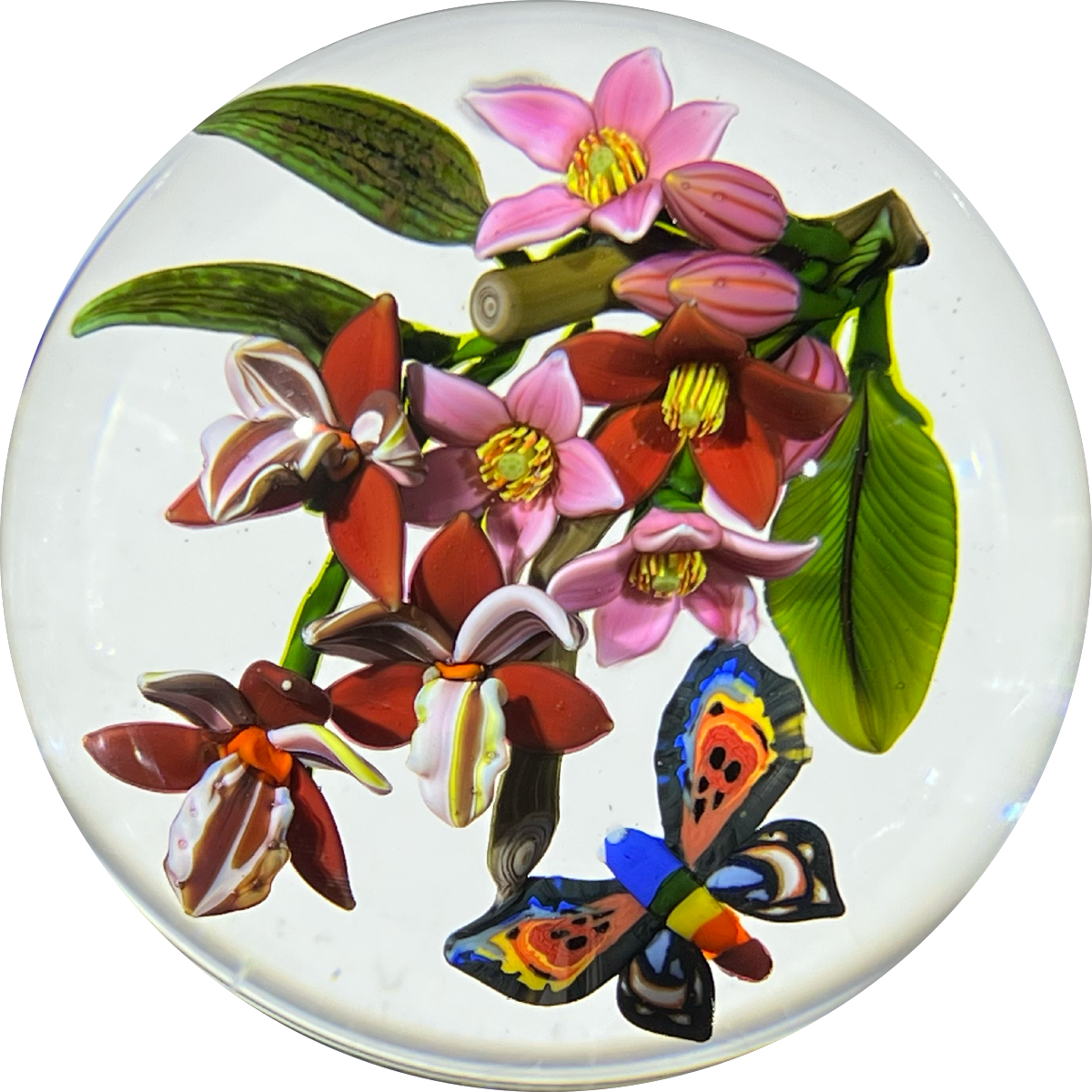 Colin Richardson 2018 Glass Art Paperweight Flamework Rainbow Butterfly with Orchids and Tropical Flowers 1 of 1