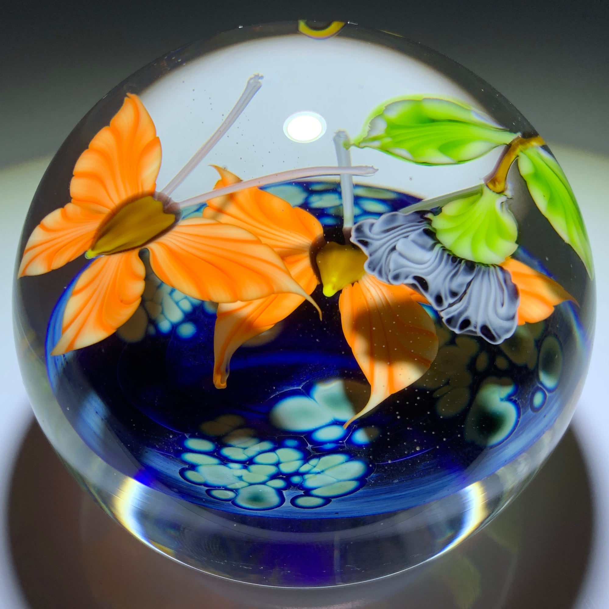 Mayauel Ward 2012 Compound Torchwork Orange Butterflies and Flowers