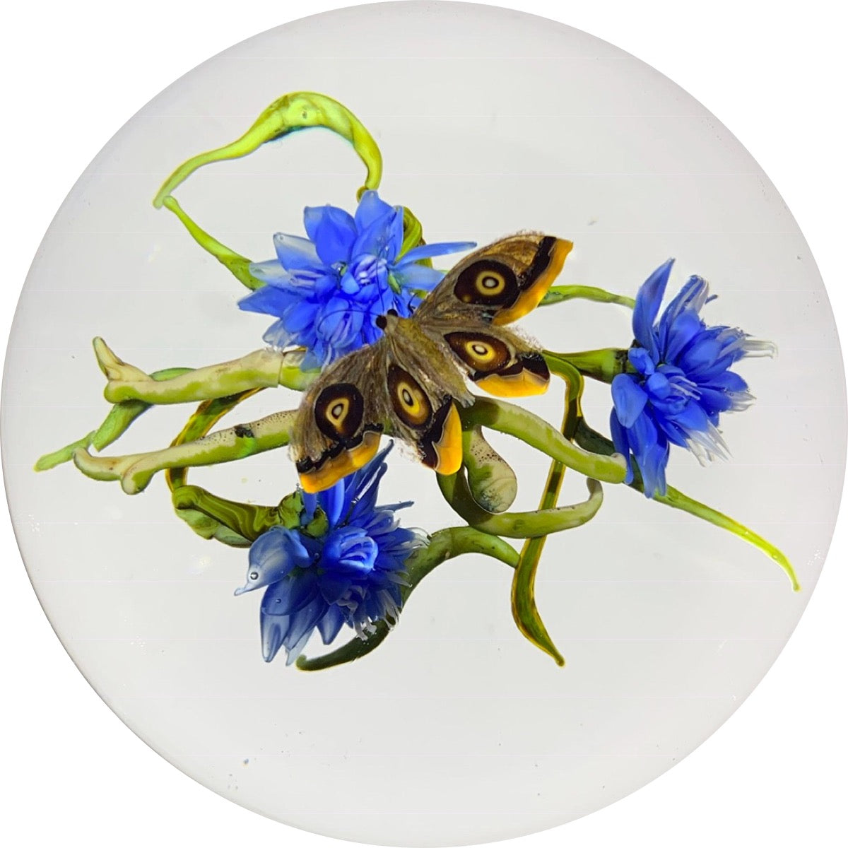 Signed Paul Stankard Lampwork Blue Field Flowers with Hovering Eyespotted Moth