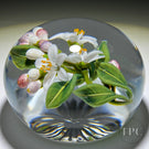 Gordon Smith 2022 Glass Art Paperweight Flamework Lemon Blossoms with Star-cut Base