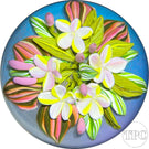 Cathy Richardson 2022 Glass Art Paperweight Flamework Pink & Yellow Plumeria Flowers on Blue