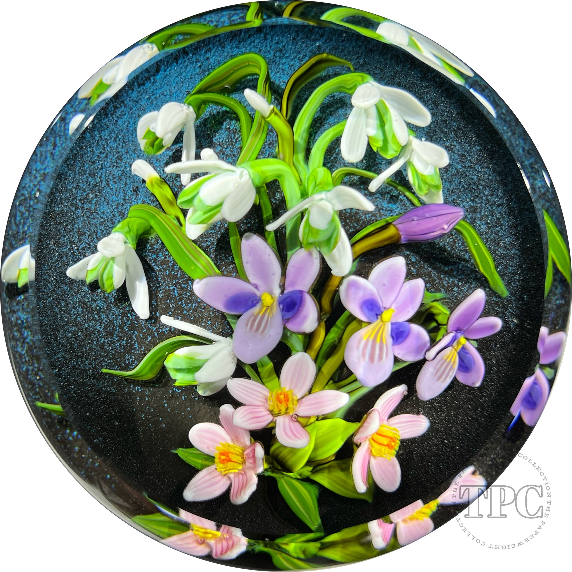 Cathy Richardson 2022 Glass Art Paperweight Flamework Violet & Snowdrop Flowers on Midnight Blue Ground 1 of 1