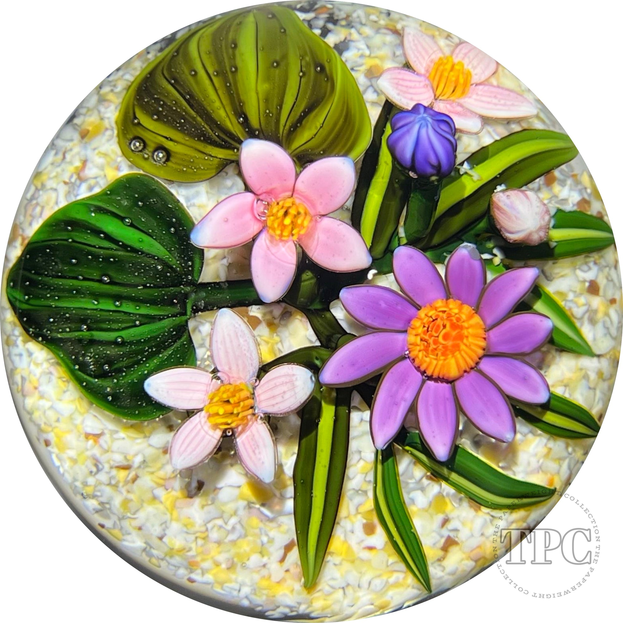 Cathy Richardson 2022 Glass Art Paperweight Flamework Pink & Purple Wildflowers on Sand Ground