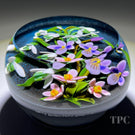 Cathy Richardson 2022 Glass Art Paperweight Flamework Violet & Snowdrop Flowers on Midnight Blue Ground 1 of 1