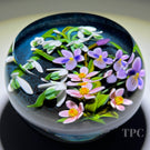 Cathy Richardson 2022 Glass Art Paperweight Flamework Violet & Snowdrop Flowers on Midnight Blue Ground 1 of 1