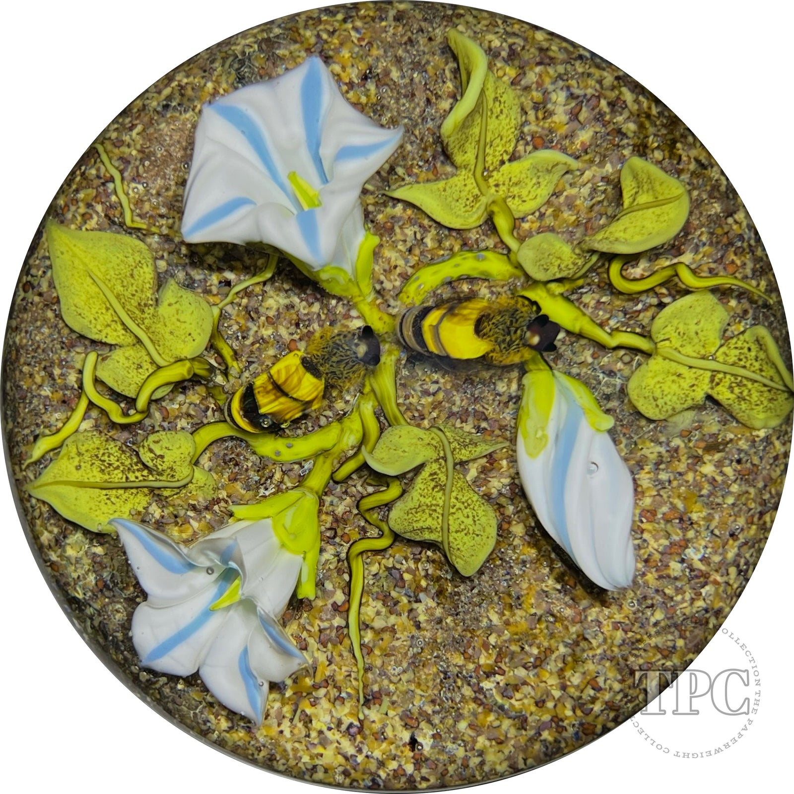 Paul Stankard 1993 Glass Art Paperweight Naturalistic Flamework Blue Morning Glory Flowers With Two Honey Bees & Root People