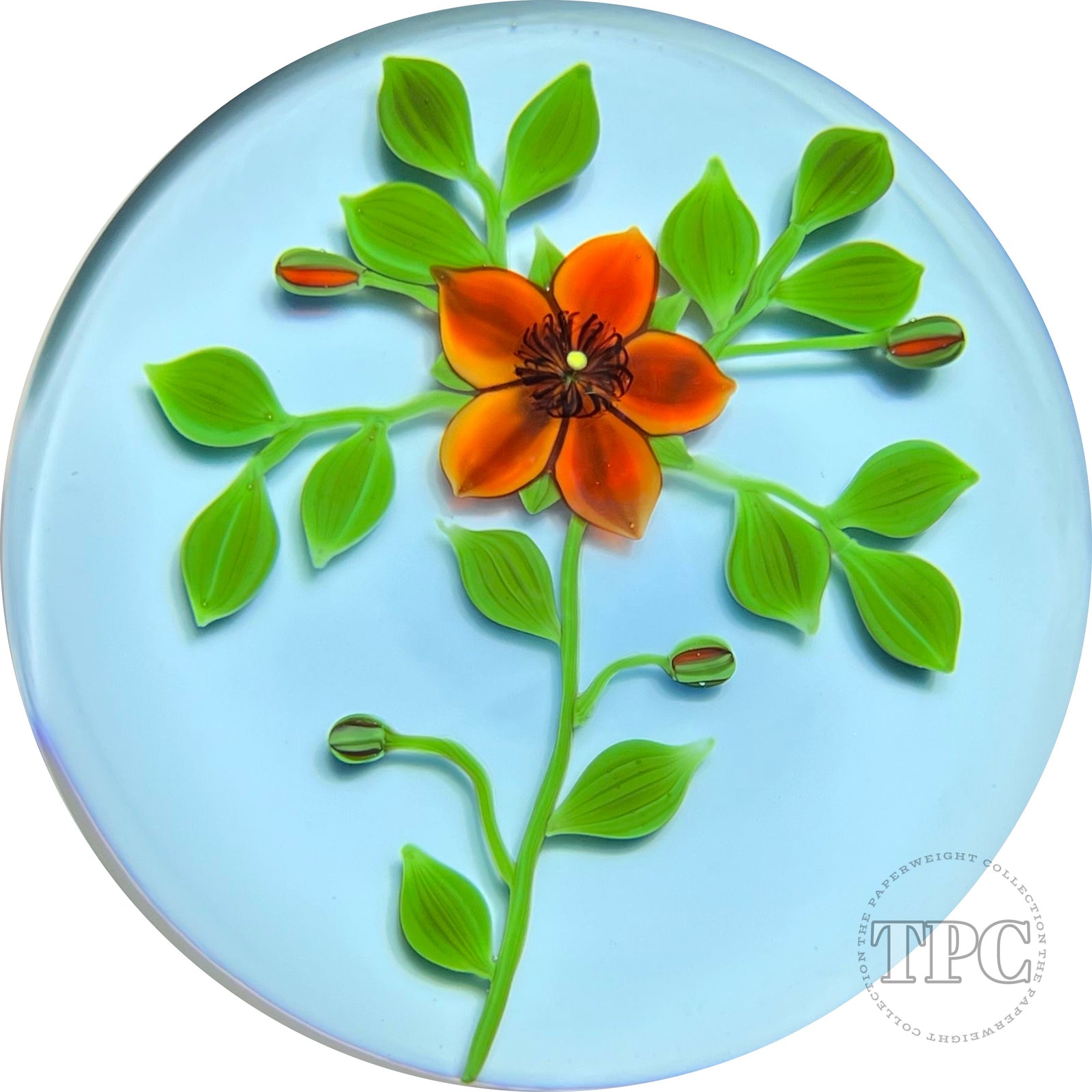 Paul Stankard 1978 Glass Art Paperweight Flamework St. Anthony's Fire Blossoms on Blue